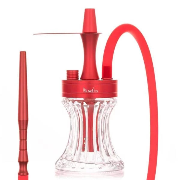 Aladin 2 Go - Alu - with bag & hose set
